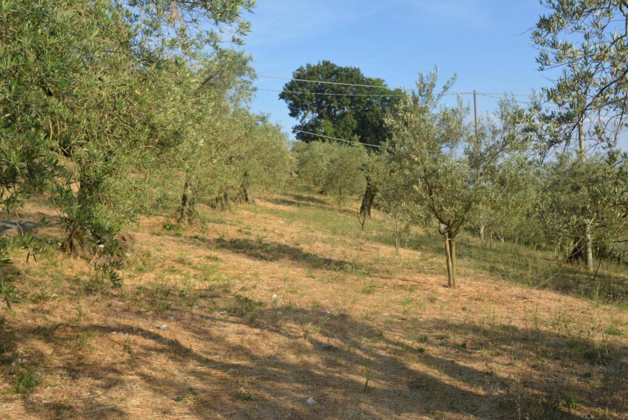 Apartment Mischianti *