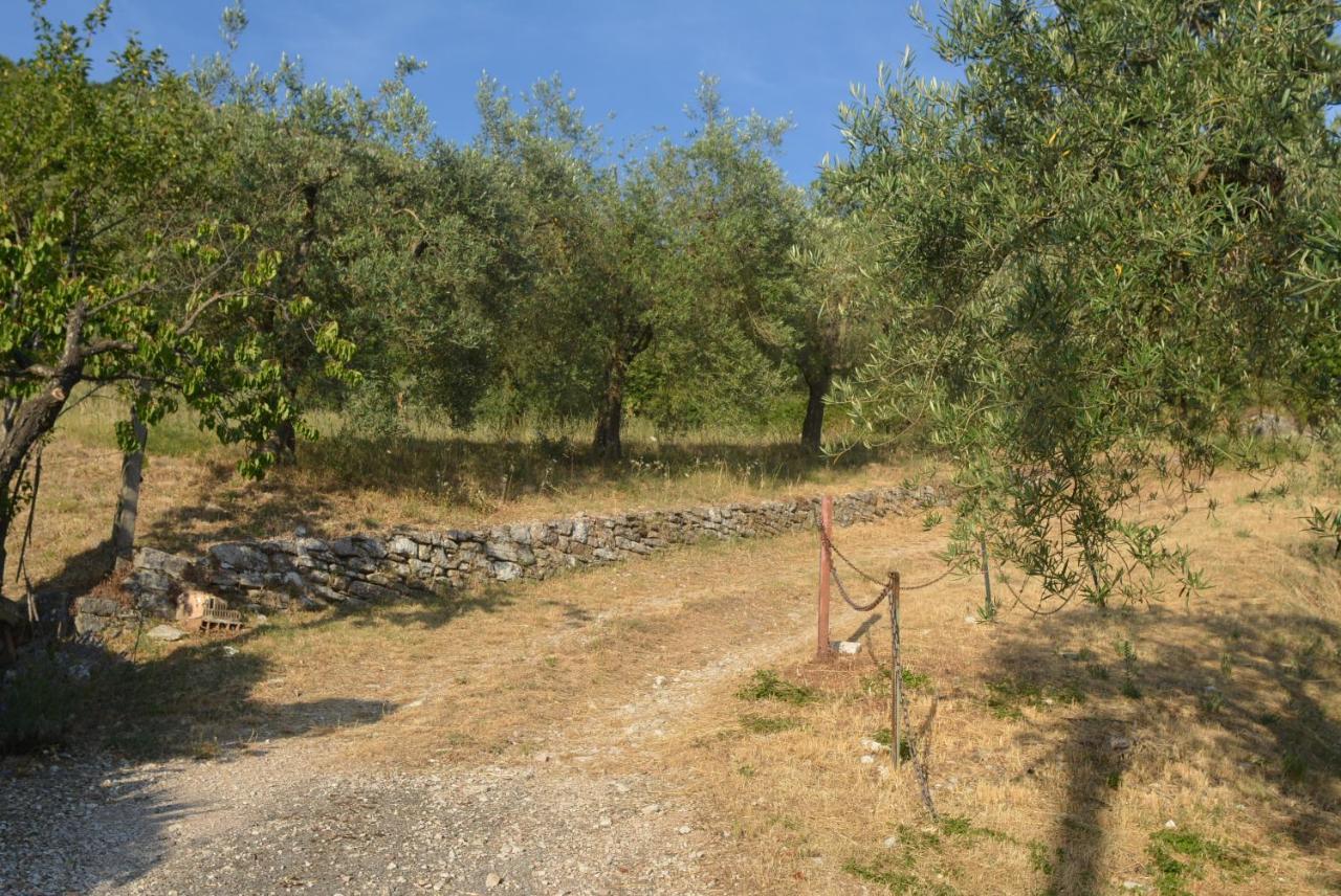 Mischianti